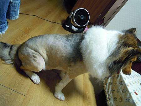 DSCN9653.JPG
