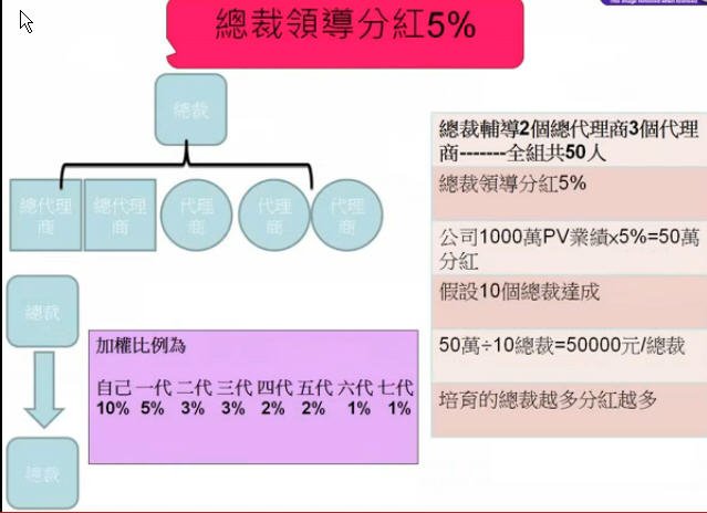 領導分紅總裁