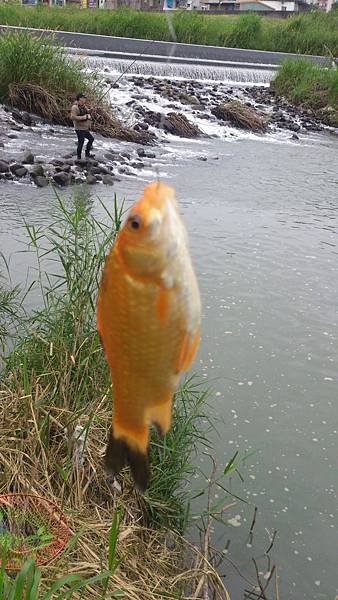 癡漢幻影