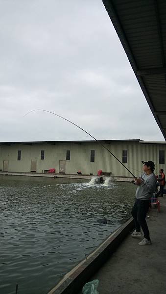 DSC_0015.JPG