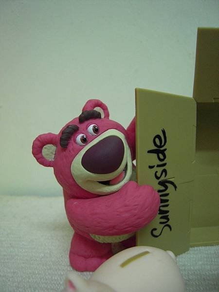 DSCN7794.JPG