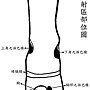 腳底病理反射區部位圖-1.jpg