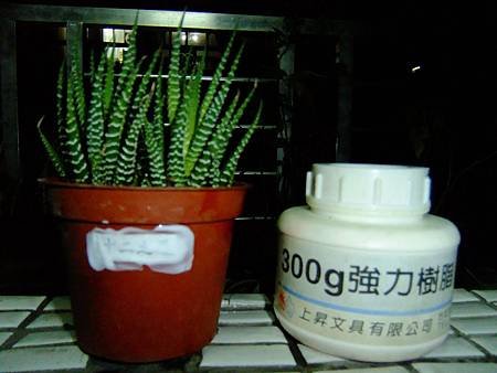 植物標籤製作_2 1040210.JPG