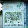 朱槿(血滴2.普通紅) 1060103_5 新板萬坪公園.JPG