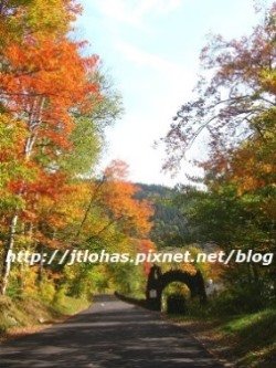 Fall Foliage-6