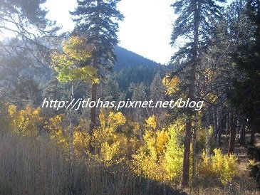 Plumas County CA-16.JPG