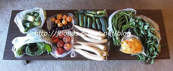 The Harvest from Farmers Market-2.JPG