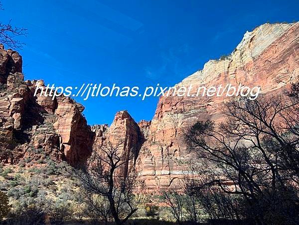 美國猶他州(2) - 錫安國家公園 Zion National Park-8.JPG