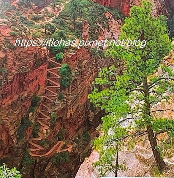 美國猶他州(2) - 錫安國家公園 Zion National Park-11.JPG