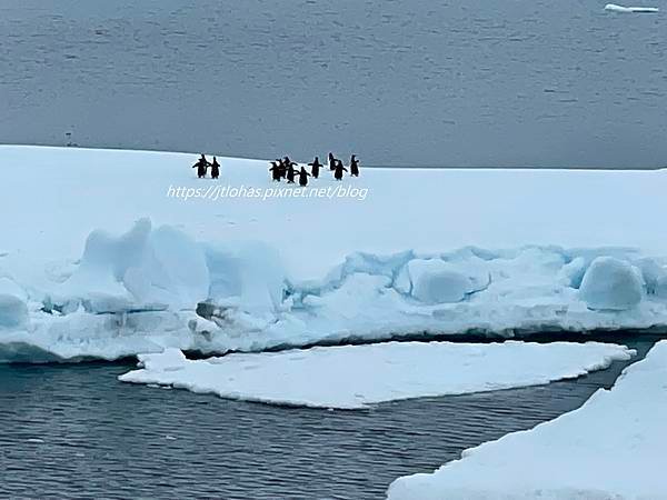 Antarctica-18.JPG