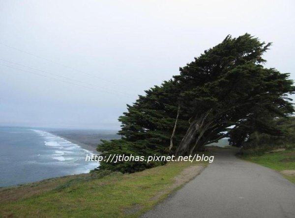 Point Reyes National Seashore-1.jpg