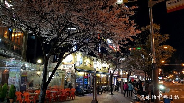 20160404 韓國釜山_3456.jpg