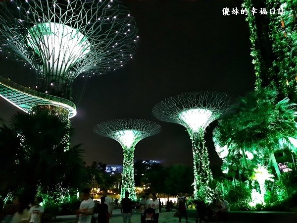 新加坡_190611_0042.jpg