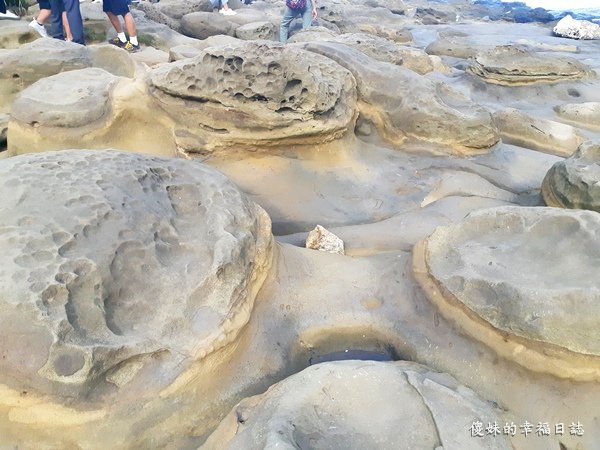 20201101_143947.jpg