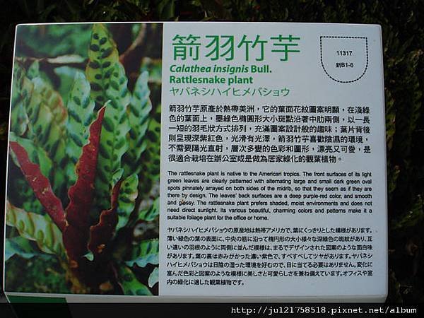 DSC01040