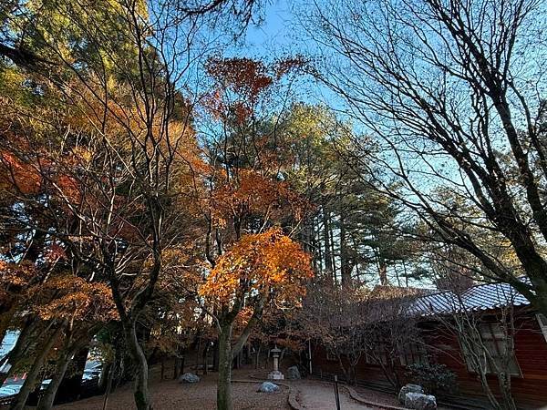20241228～30 福壽山農場3日