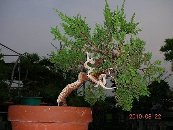 DSCN1450.jpg