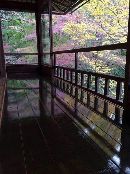 thumb_IMG_3835_1024.jpg