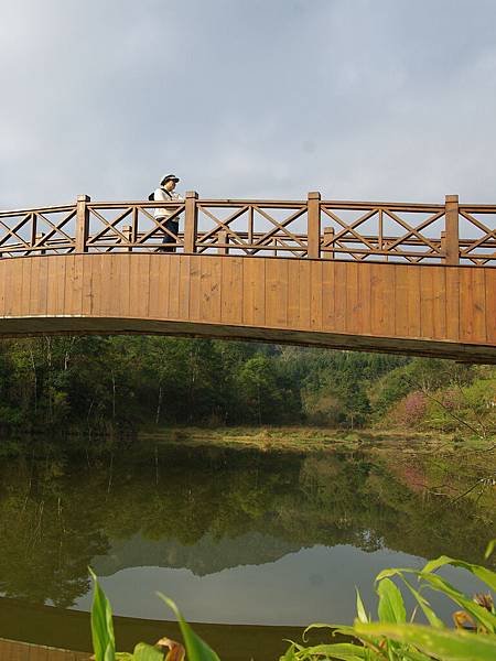 拱橋