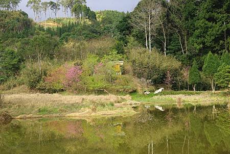 湖岸人家