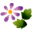 0111.gif