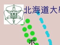 北海道大學精華區-4分拆一的16之1.jpg