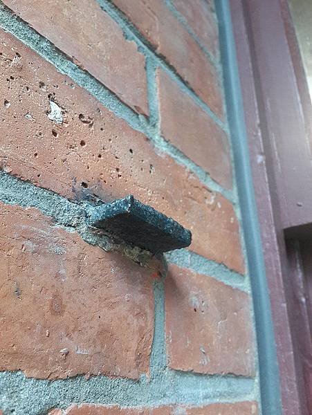 20170303_164119.jpg