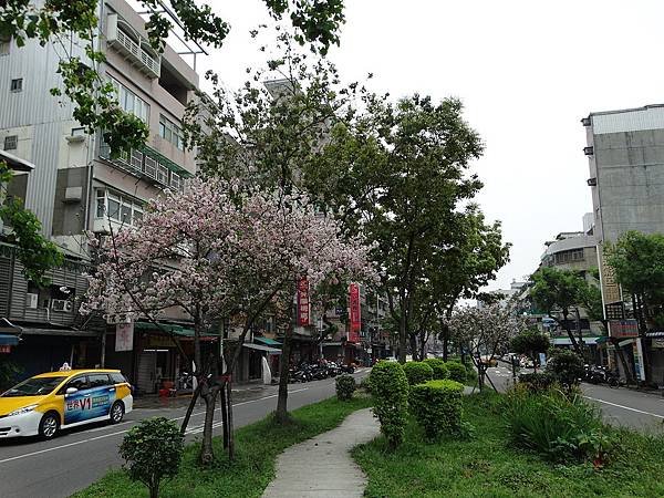DSC04429.JPG