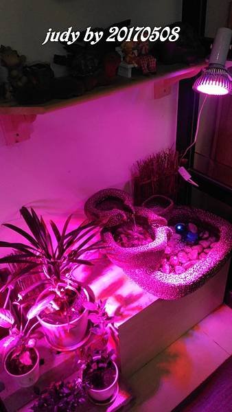 P_20170508_194109.jpg