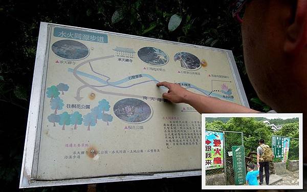 20110511-土城桐花公園3.jpg