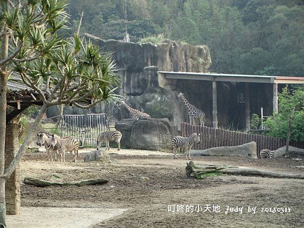 DSC00387.JPG