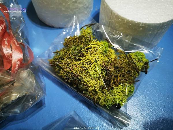 【生日&amp;喜宴】有錢花蛋糕(用玩具紙鈔做生日蛋糕,以及適用於喜