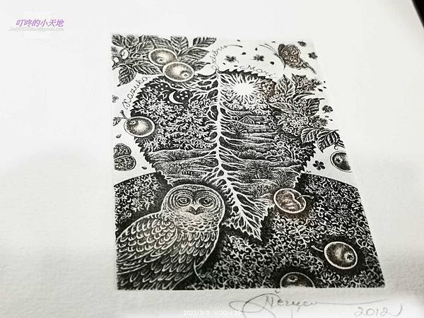 【新莊文藝中心18】秘境之森-貓頭鷹特展(3樓多功能室-第1