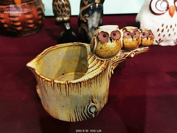 【新莊文藝中心24】秘境之森-貓頭鷹特展(3樓多功能室-第2