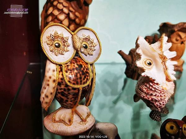 【新莊文藝中心27】秘境之森-貓頭鷹特展(3樓多功能室-第2