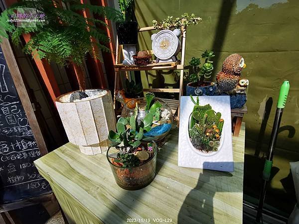 【志工研習】龍晴 魔幻豆子主題館-多肉植物區(112年新莊文