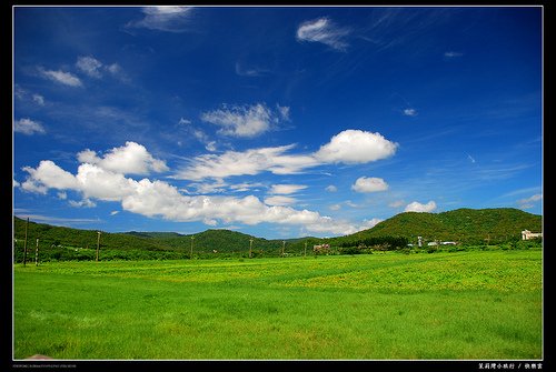 DSC_7019
