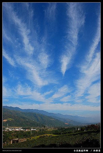 DSC_8006