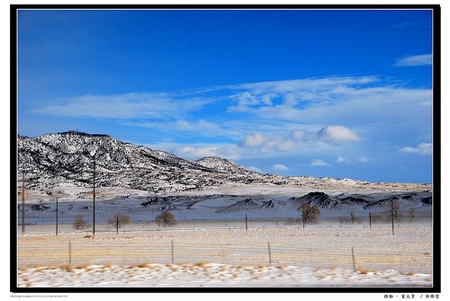 DSC_0303