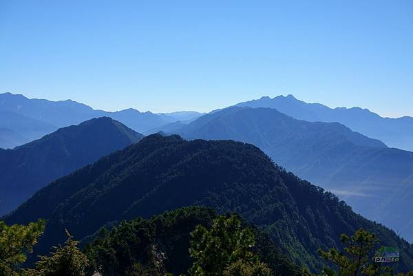 DSC08570.jpg