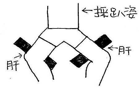 同時趴2腿肝經.JPG