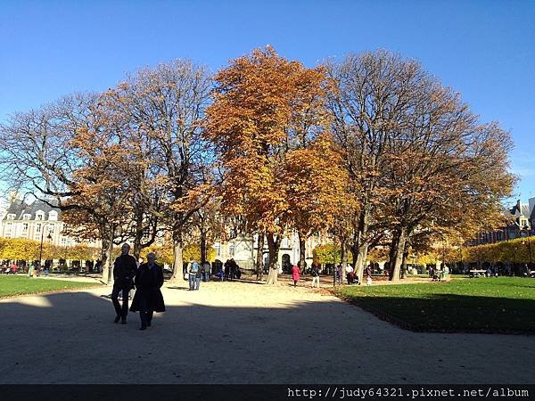 P_20131111_112601[1]