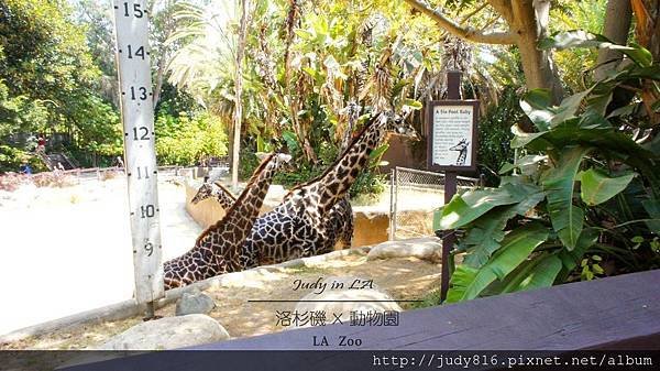 DSC02055.JPG