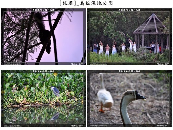 ContactSheet_[旅遊]_鳥松濕地公園