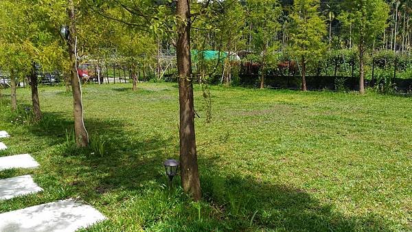 P_20161002_120744.jpg