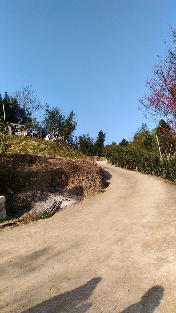 P_20170211_161343_HDR.jpg