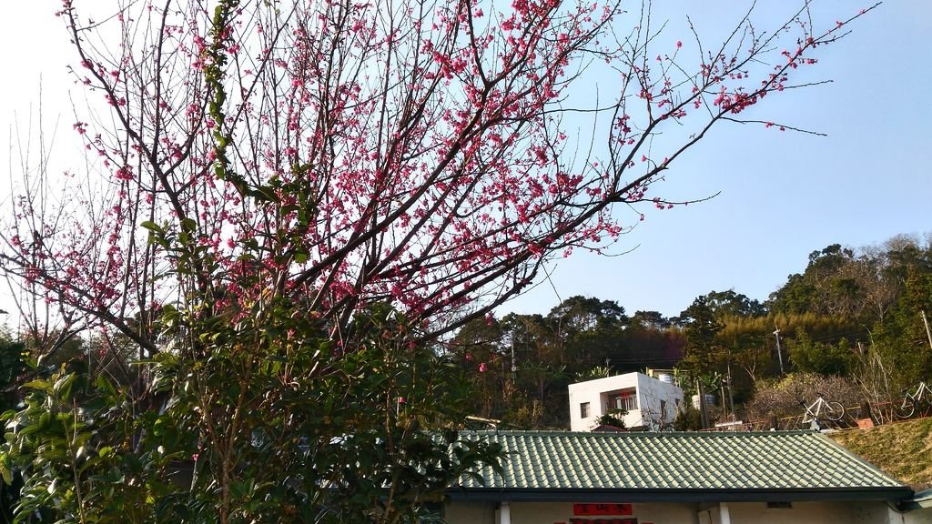 P_20170211_161250_HDR.jpg