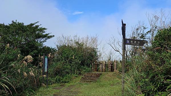 玩登小百岳--No:82灣坑頭山 桃源谷大草原 桃源谷&amp;草嶺