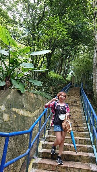 角板山公園 角板山行館 戰備隧道 大溪老街 在 桃園復興