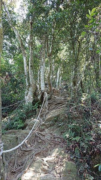 玩登小百岳--No:33仙山 (攀岩拉繩  視野遼闊) 在 